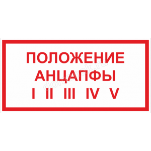 ЗБ-200 - Знак «Положение анцапфы I II III IV V»